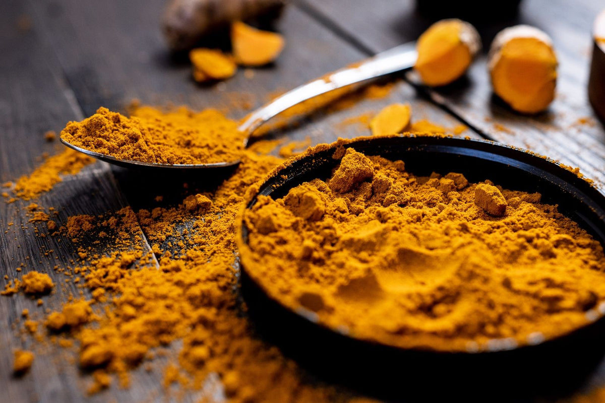 Golden turmeric powder in a dish with fresh turmeric roots, illustrating curcumin as a plant compound discussed for bioavailability