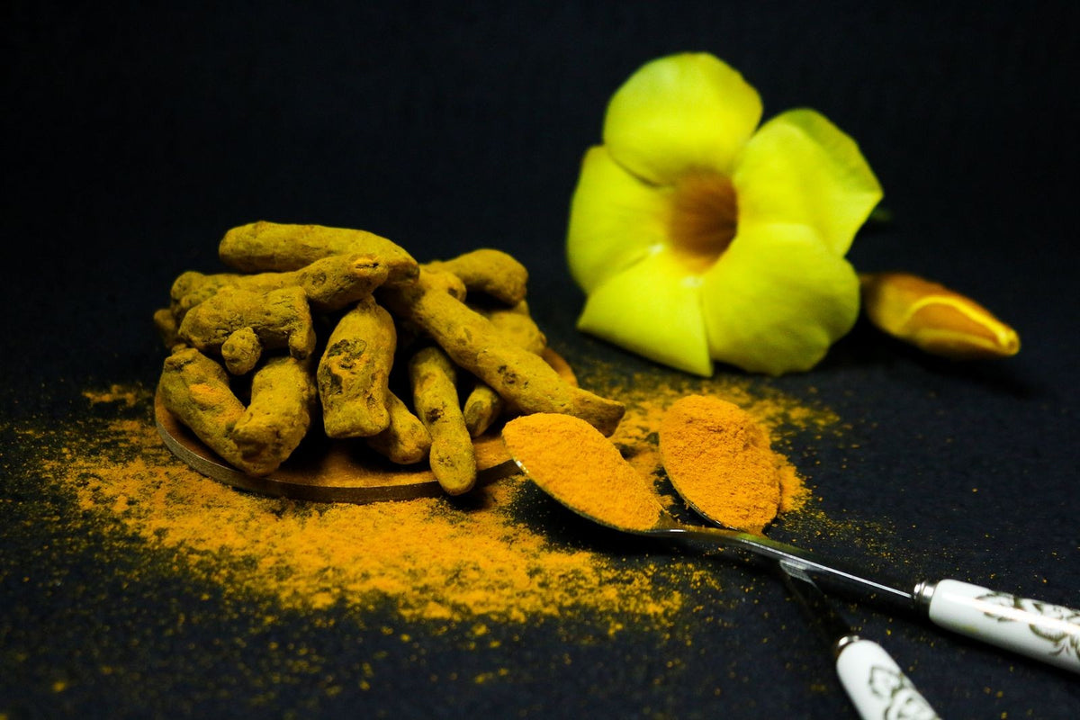 Fresh turmeric root beside spoons of ground turmeric powder, showing the difference between the whole spice and curcumin