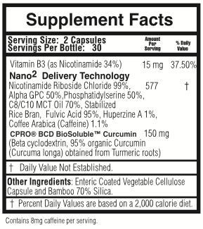 BrainBoost: Advanced Cognitive Support